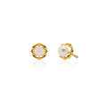 10K Yellow Gold Pearl Blossom Stud Earrings