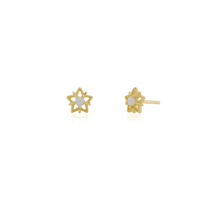 Gold Vermeil Chic Star Studs