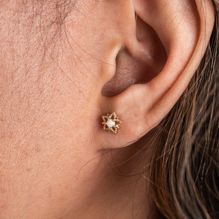 Gold Vermeil Chic Star Studs